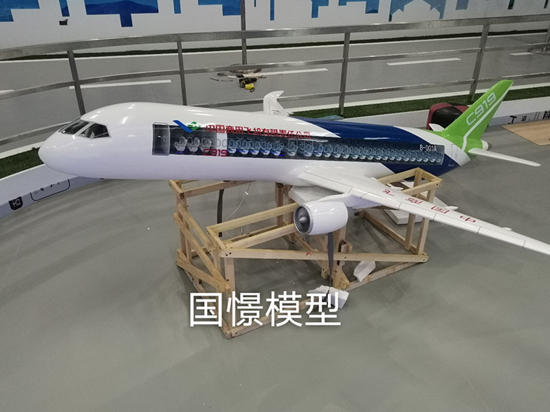 泸定县飞机模型