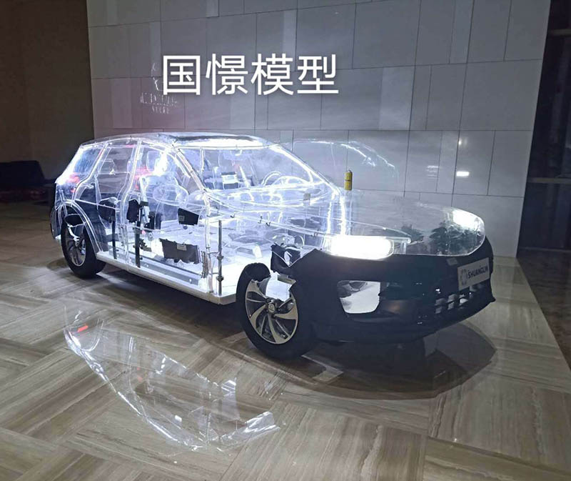 泸定县透明车模型